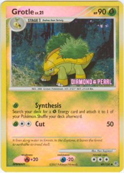 Grotle Lv.21 - Burger King DP Promos 2008 (Promo) [BKPR-DP 49]