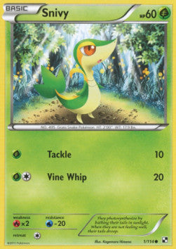 Snivy - Black & White (Common) [BLW-1]
