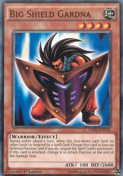 Big Shield Gardna
