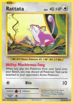 Rattata - Evolutions (Common) [EVO-66]