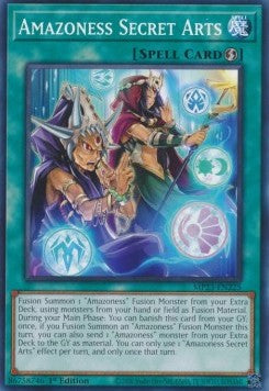 Amazoness Secret Arts - 25th Anniversary Tin: Dueling Heroes Mega Pack (Common) [MP23-225]
