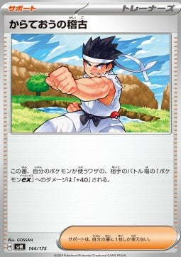 Black Belt's Training - Generations Start Decks (Fixed) [svM-144]