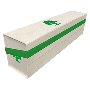 Mana 8 Forest Flat Pack Storage Box - Magic the Gathering Products